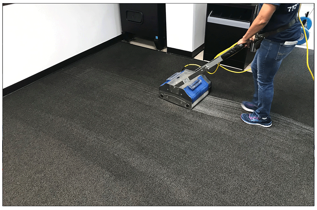 Routine Carpet Maintenance Services